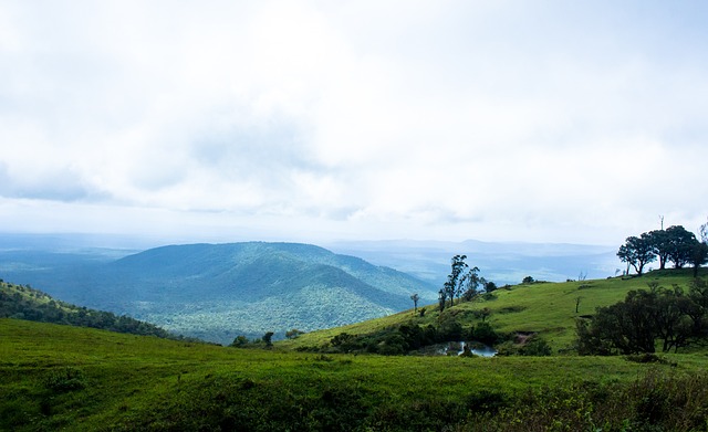 星来完成时 星来完成时