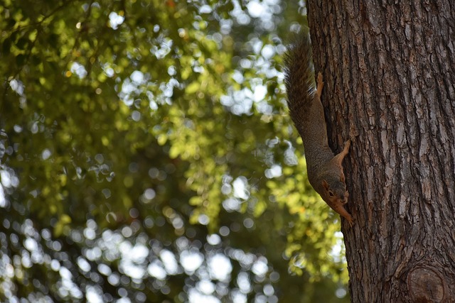 他们需要继 他们需要继
