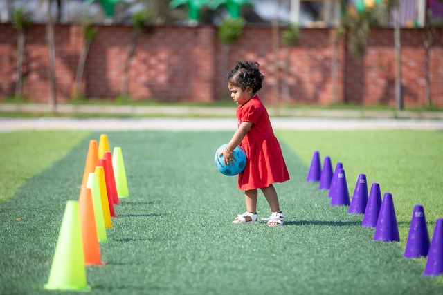 针对新手 针对新手