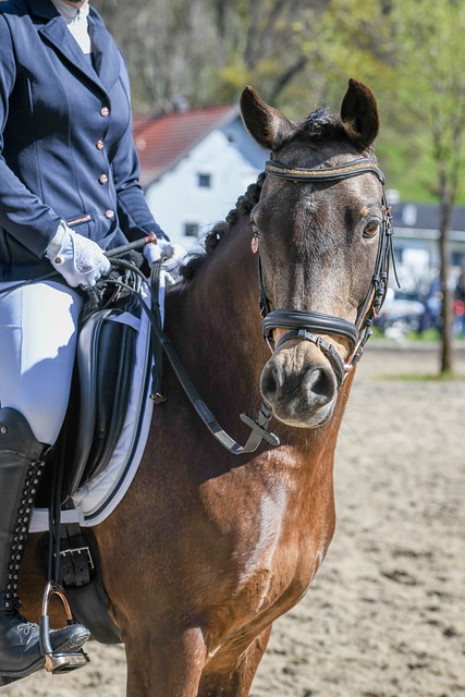 找到化学反 找到化学反