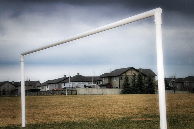 这些队伍被 这些队伍被