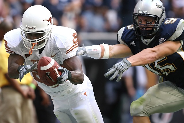 他们的继续 他们的继续