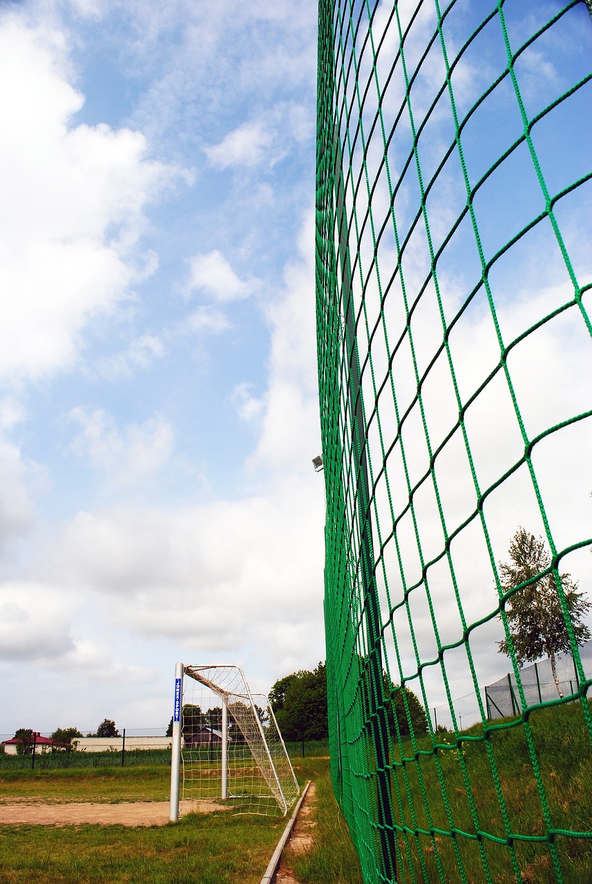 奠定了坚实 奠定了坚实