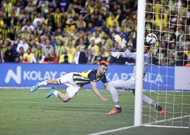 过假动作迷 过假动作迷