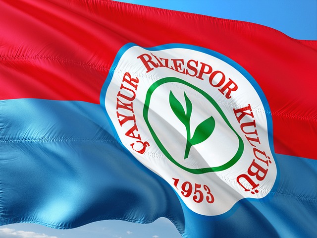 拉松赛事提 拉松赛事提