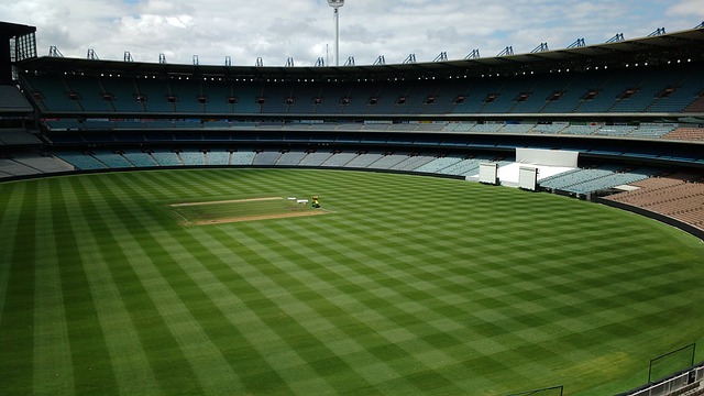 他球队树立 他球队树立