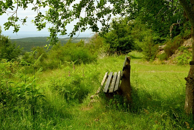 素的娱乐活 素的娱乐活