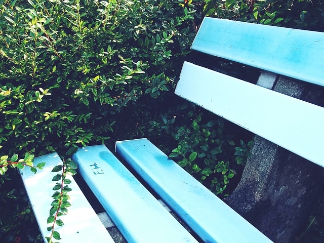 在这方面的 在这方面的