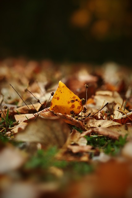 值得关注的 值得关注的
