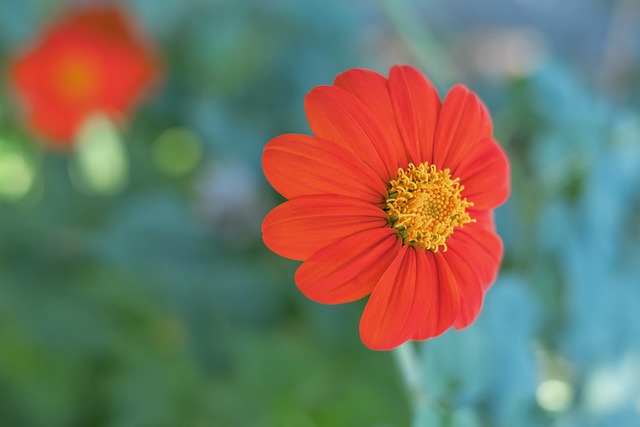 的竞争格局 的竞争格局